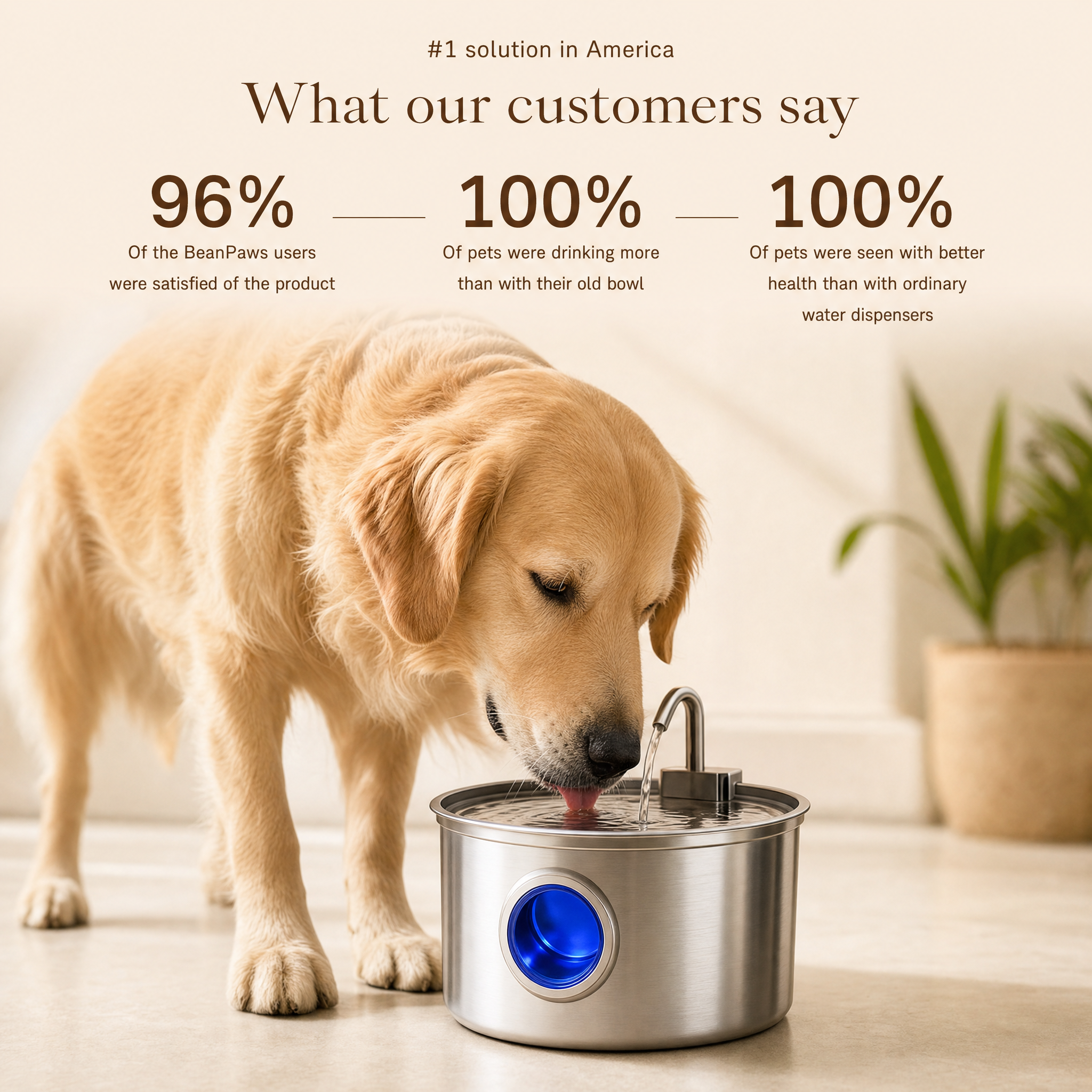 BeanPaws™ Filtered Water Fountain